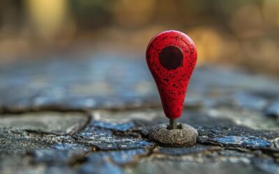 Gdzie znajduje się łąkotka i za co odpowiada?